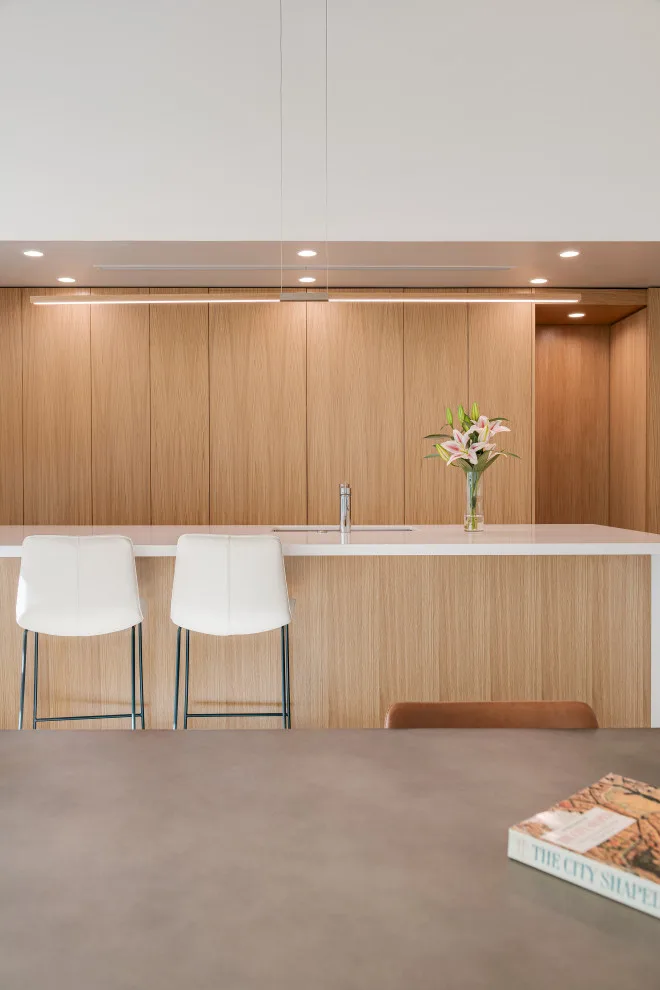 Schneider House by Ibarra Rosano Design Architects - Photo 18