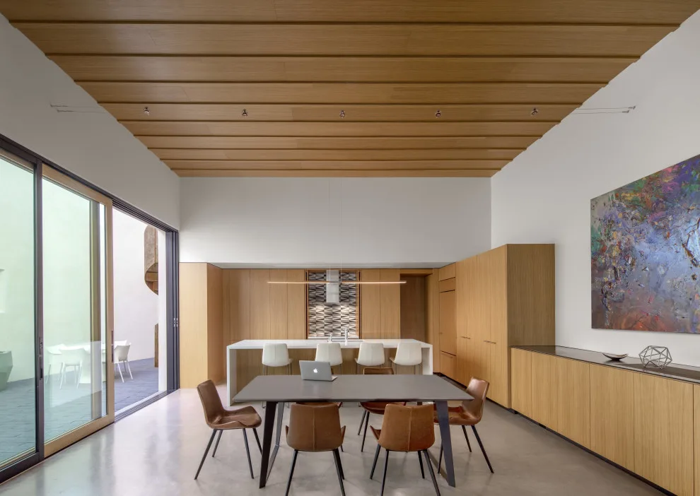 Schneider House by Ibarra Rosano Design Architects - Photo 33