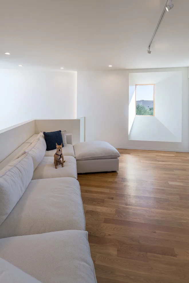 Schneider House by Ibarra Rosano Design Architects - Photo 34