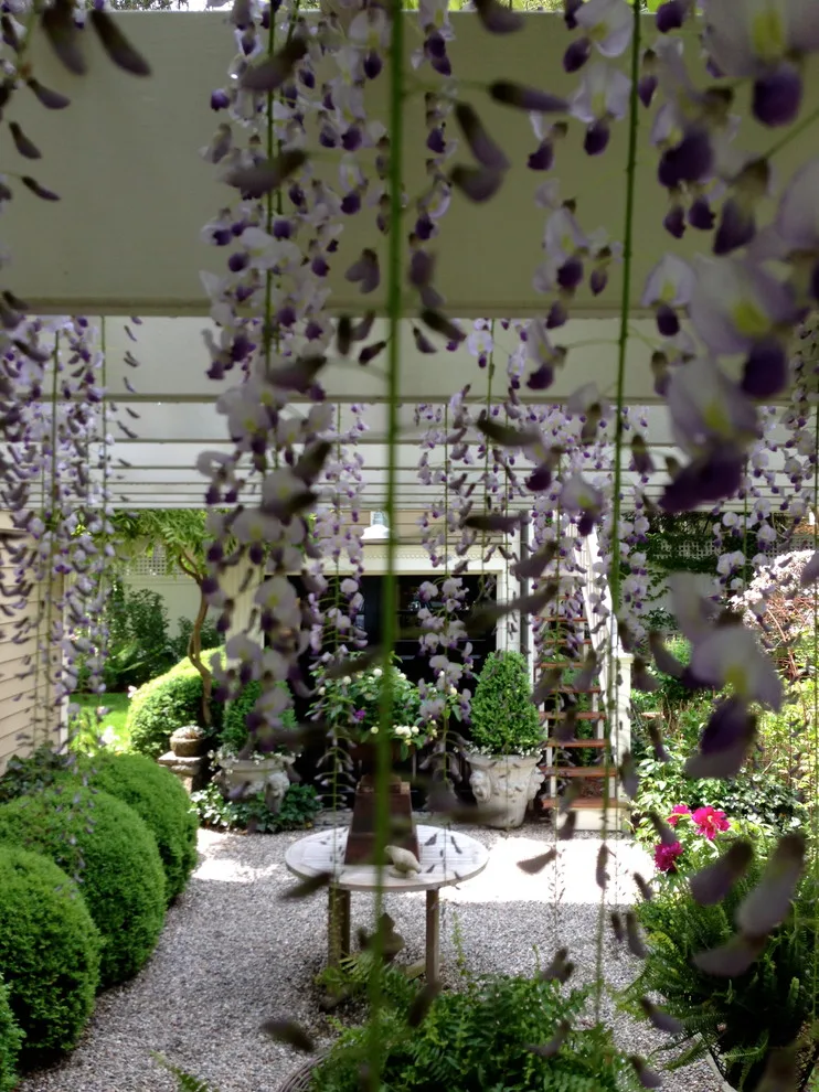 A YEAR-ROUND GARDEN STUDIO by MAR JENNINGS/S&J Multimedia LLC - Photo 20
