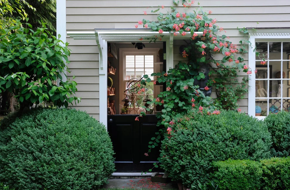 A YEAR-ROUND GARDEN STUDIO by MAR JENNINGS/S&J Multimedia LLC - Photo 6