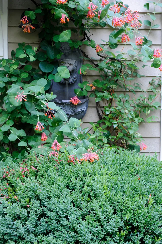 A YEAR-ROUND GARDEN STUDIO by MAR JENNINGS/S&J Multimedia LLC - Photo 27