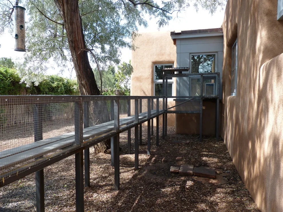 Feline Shelter by Shaw Architecture LLC. - Photo 2