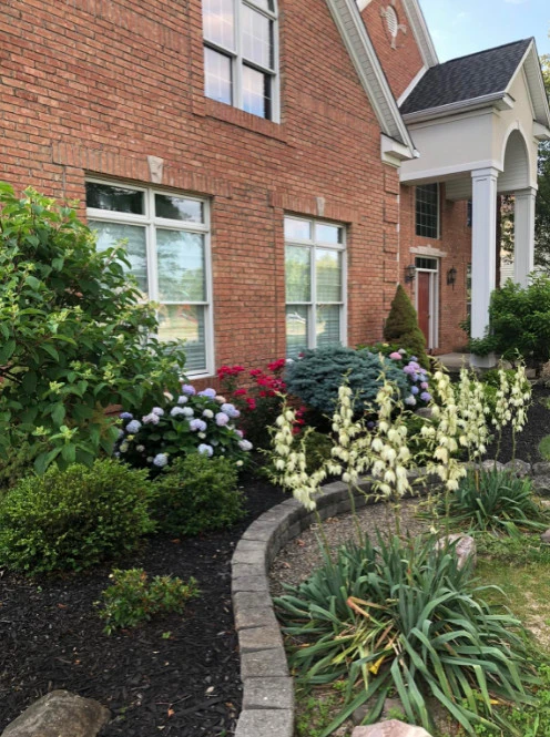 Palm And Oak Lawncare - Photo 2