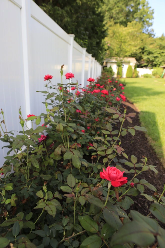 Raised Patio Project by Pennella's Landscape Designs, LLC - Photo 33
