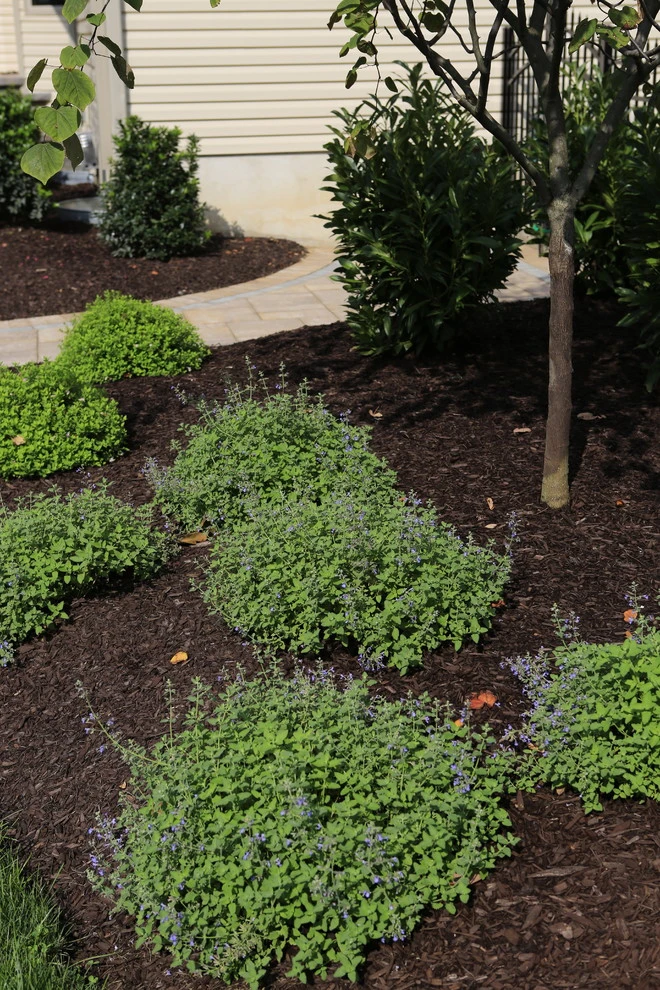 Raised Patio Project by Pennella's Landscape Designs, LLC - Photo 18