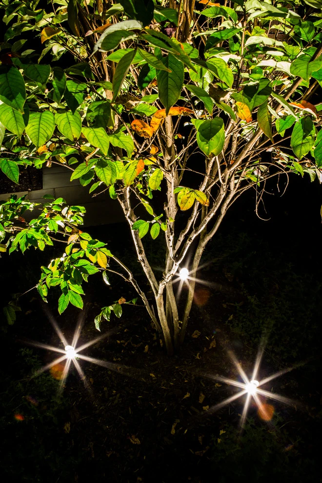 Outdoor Lighting by Pennella's Landscape Designs, LLC - Photo 2