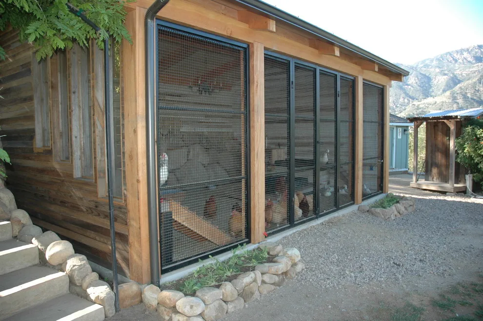 Poultry shelter by Calvin Design - Photo 3