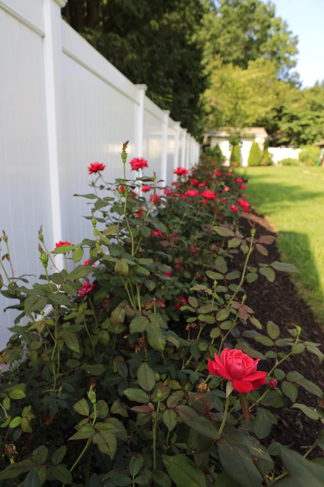 Raised Patio Project by Pennella's Landscape Designs, LLC - Photo 38