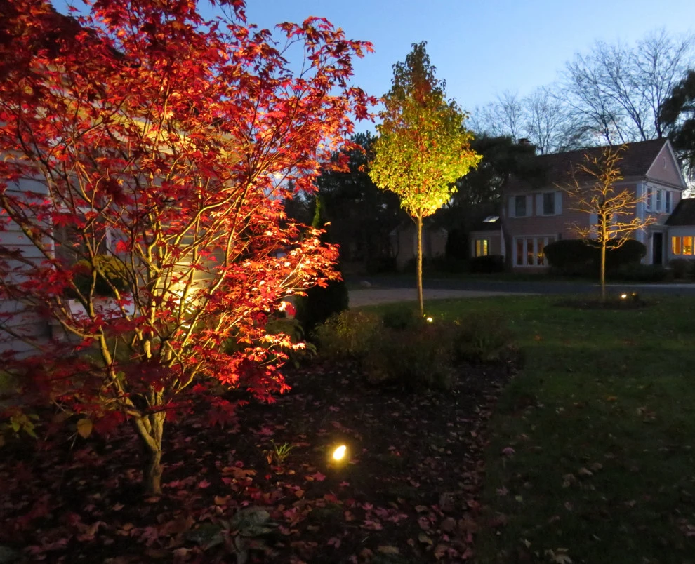 Landscape Lighting in Long Grove by Poul's Landscaping & Nursery, Inc. - Photo 2