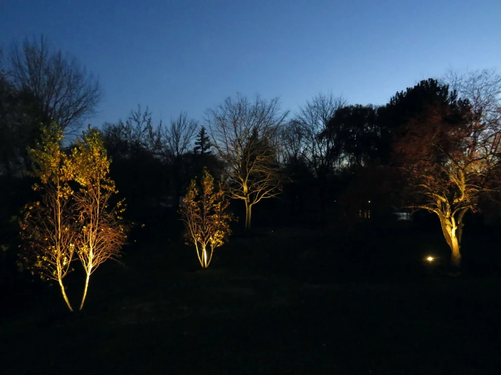 Landscape Lighting in Long Grove by Poul's Landscaping & Nursery, Inc. - Photo 7