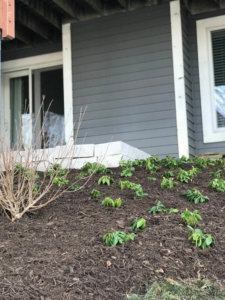 Custom Patio Project by Poul's Landscaping & Nursery, Inc. - Photo 19