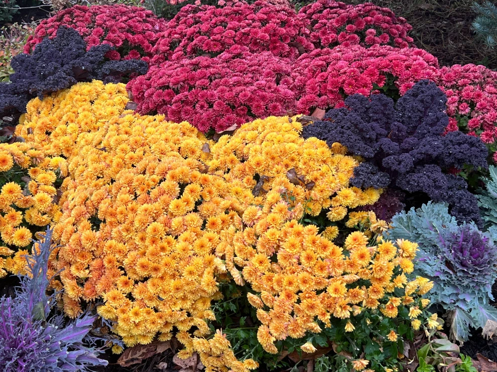 Seasonal Containers by Poul's Landscaping & Nursery, Inc. - Photo 6