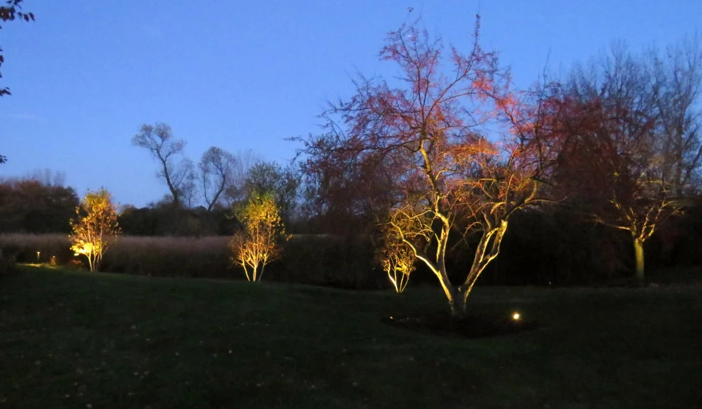 Landscape Lighting in Long Grove by Poul's Landscaping & Nursery, Inc. - Photo 9