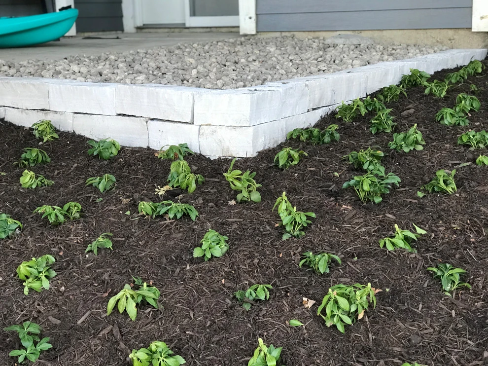 Custom Patio Project by Poul's Landscaping & Nursery, Inc. - Photo 18