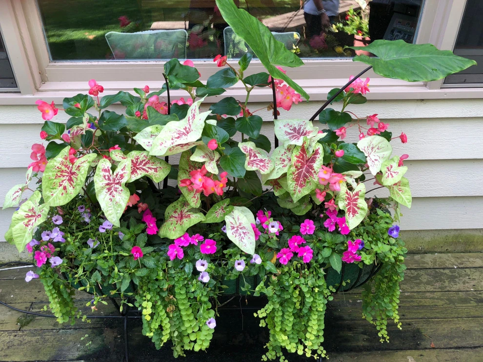 Seasonal Containers by Poul's Landscaping & Nursery, Inc. - Photo 4