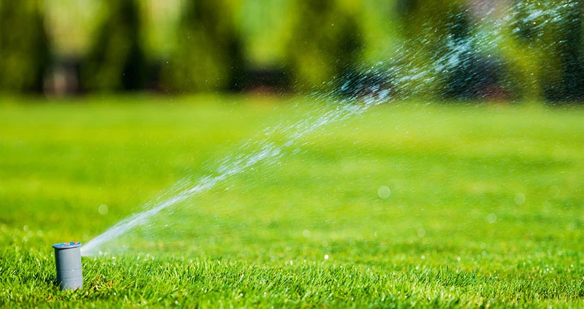 Pro Green Outdoors - Photo 2