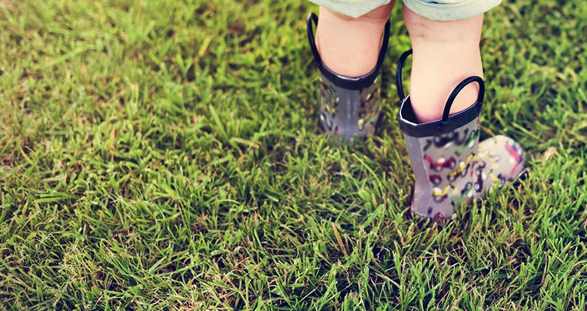 Pro Green Outdoors - Photo 8