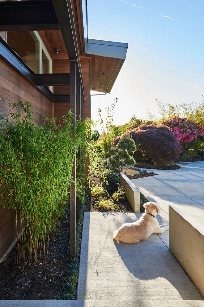 Clyde Hill Modernist by Garret Cord Werner Architects & Interior Designers - Photo 17