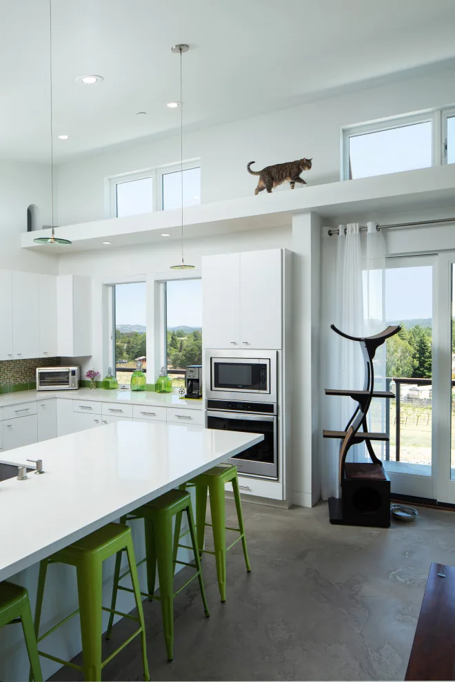 Modern Industrial Home | Templeton, CA by Jade Architecture - Photo 3