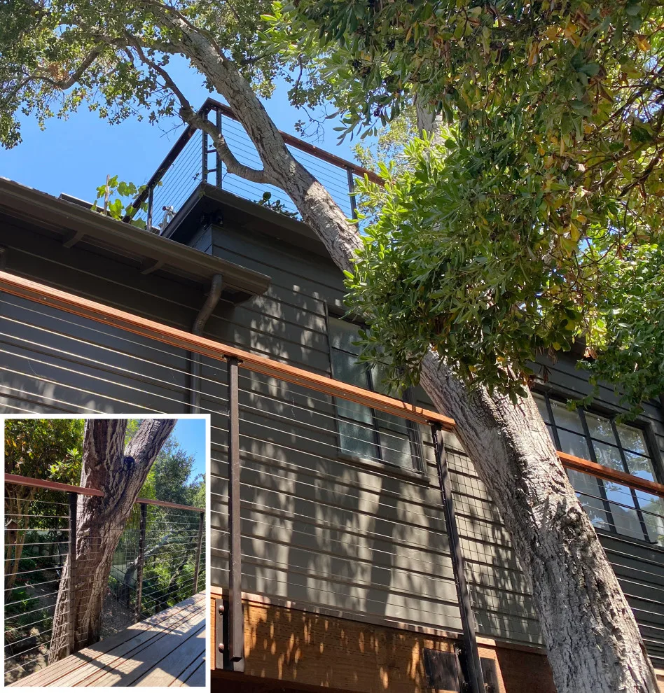 Covid-19 Growth Initiative by Rebecca Schnier Architecture - Photo 14