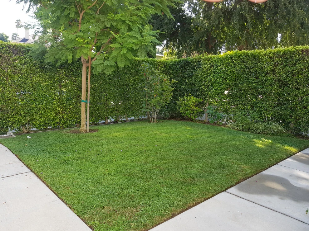 FRONT YARD WATER FEATURE by Roy Altaras Landscape Design And Build - Photo 4
