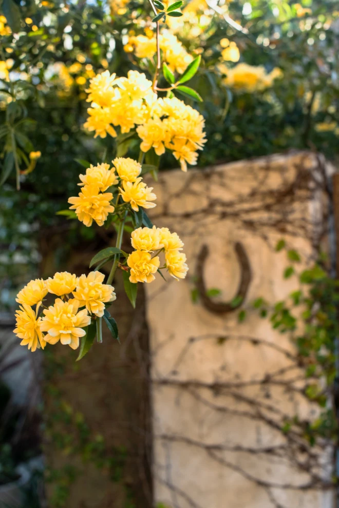 RUSTIC DESIGN by Roy Altaras Landscape Design And Build - Photo 8