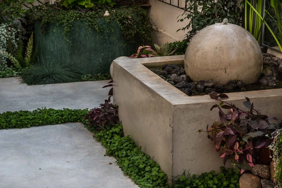 LANDSCAPE AND HARDSCAPE by Roy Altaras Landscape Design And Build - Photo 23