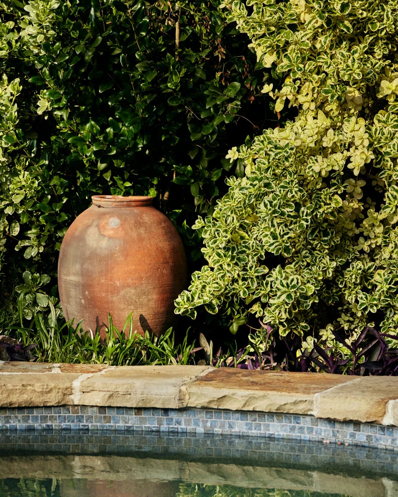 EQUESTRIAN MEDITERRANEAN by Roy Altaras Landscape Design And Build - Photo 6
