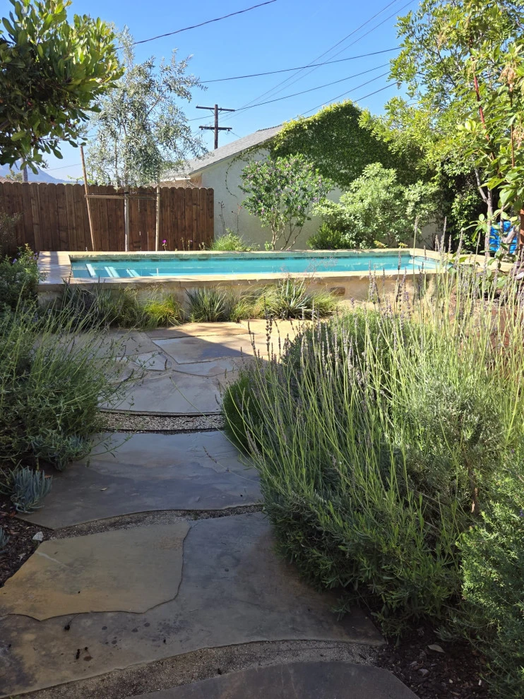 POOLS by Roy Altaras Landscape Design And Build - Photo 2