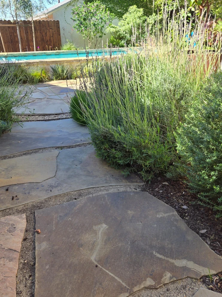 POOLS by Roy Altaras Landscape Design And Build - Photo 10