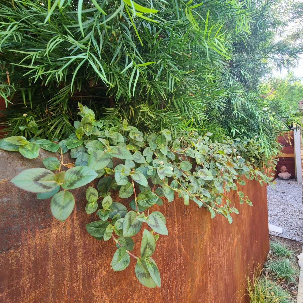 CORTEN STEEL by Roy Altaras Landscape Design And Build - Photo 2