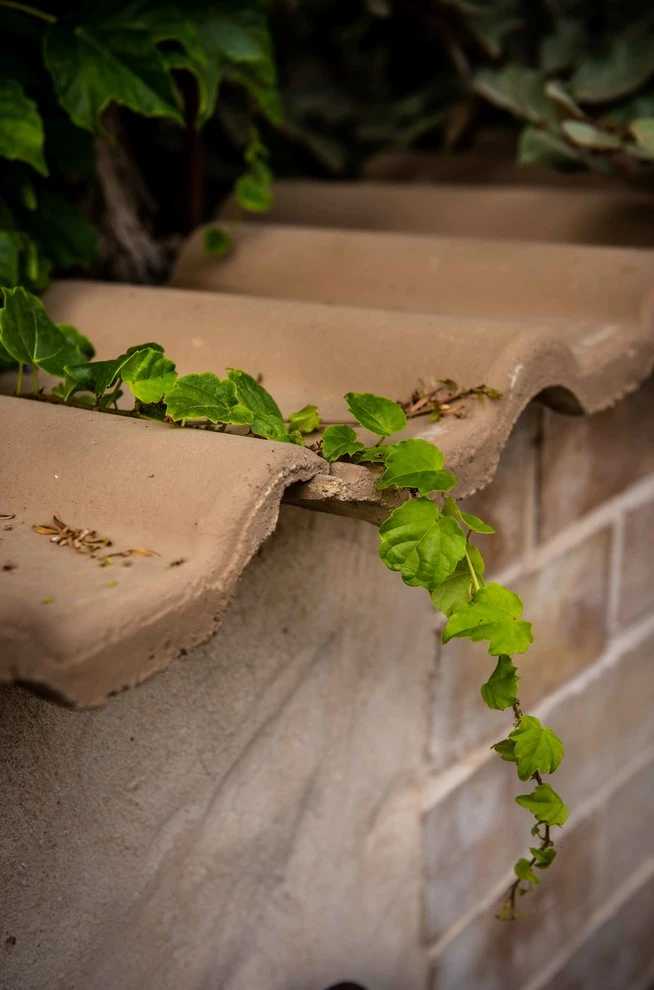 RUSTIC DESIGN by Roy Altaras Landscape Design And Build - Photo 19