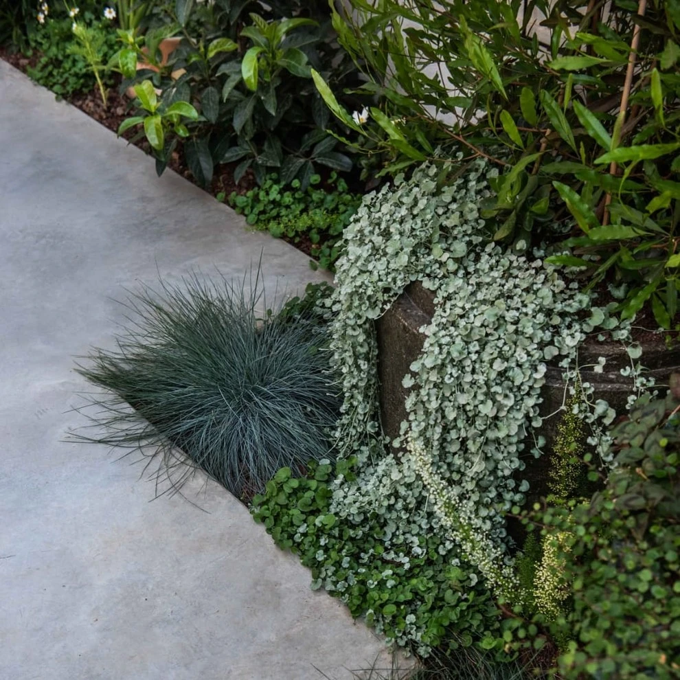 LANDSCAPE AND HARDSCAPE by Roy Altaras Landscape Design And Build - Photo 6