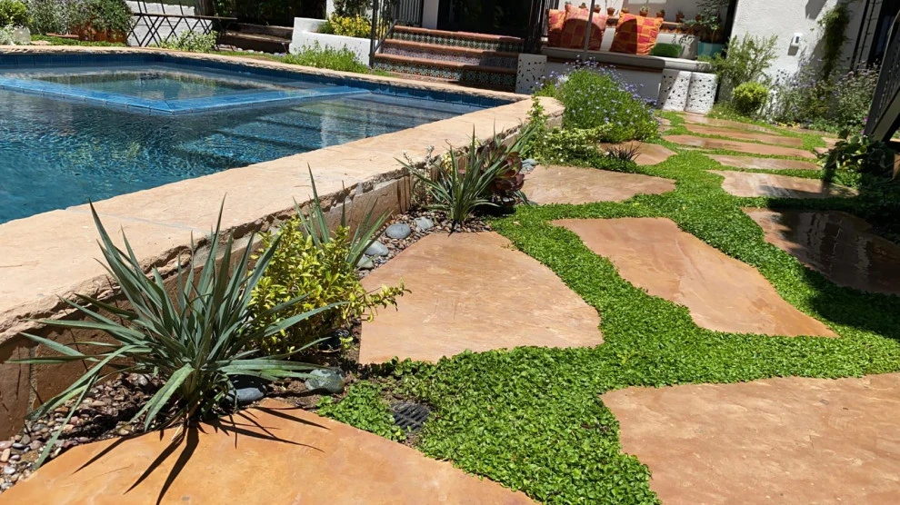 POOLS by Roy Altaras Landscape Design And Build - Photo 8