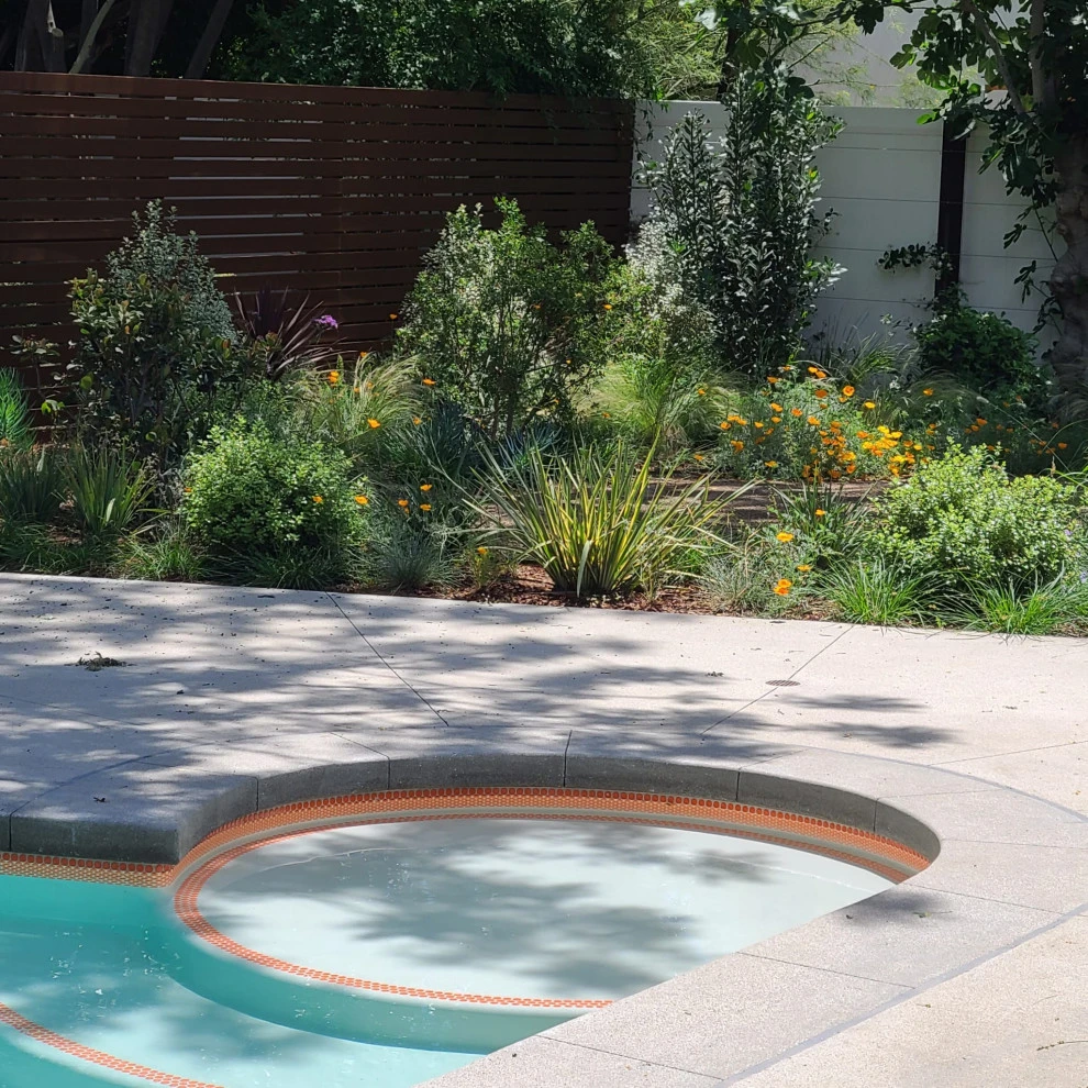 MID CENTURY MODERN by Roy Altaras Landscape Design And Build - Photo 3