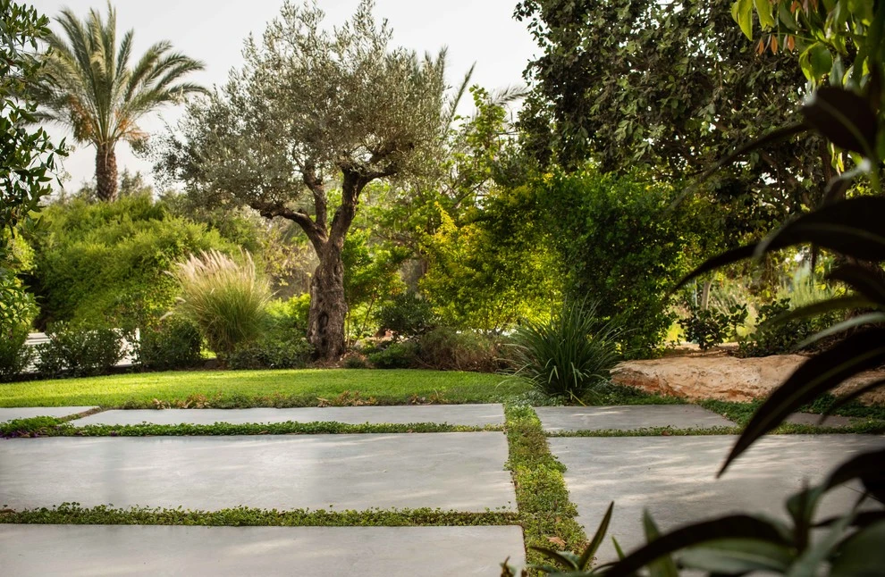 Roy Altaras Landscape Design And Build - Photo 9