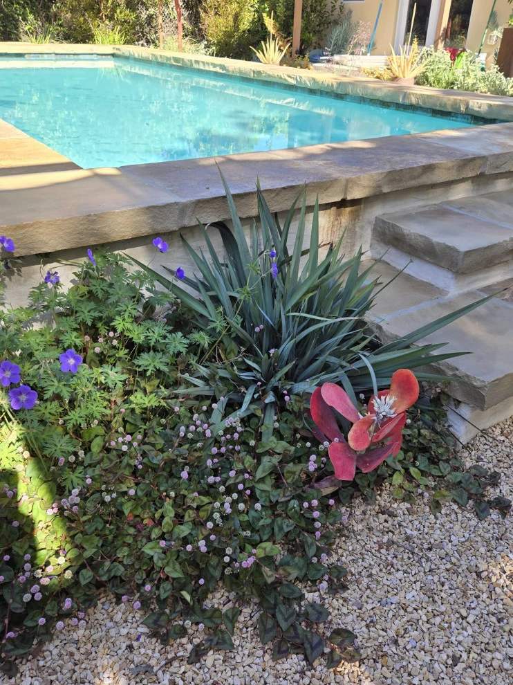 POOLS by Roy Altaras Landscape Design And Build - Photo 3