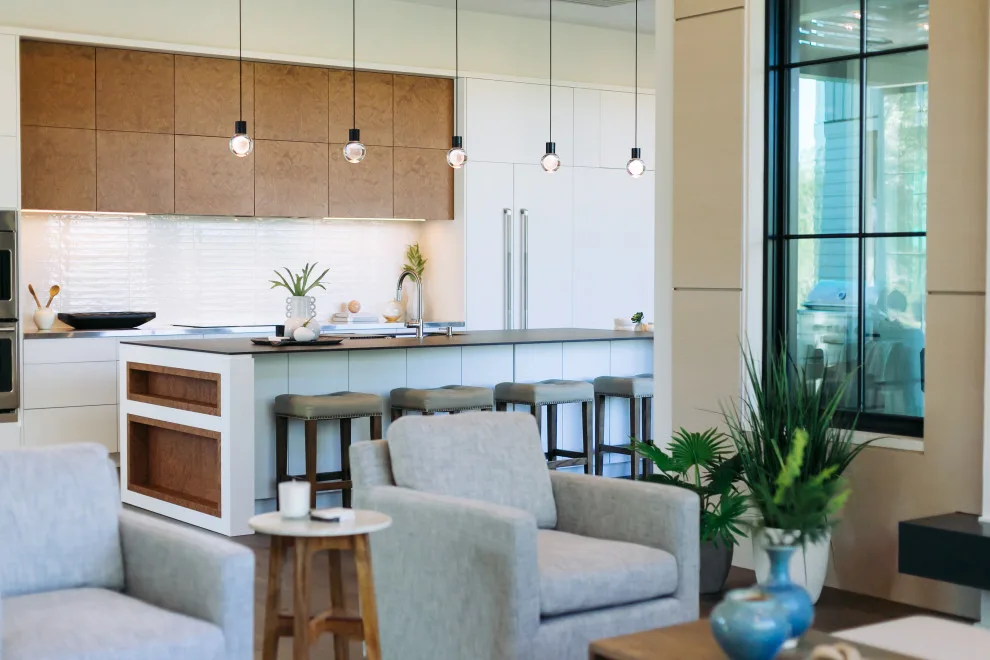 Contemporary Daniel Island by DLB Custom Home Design - Photo 4