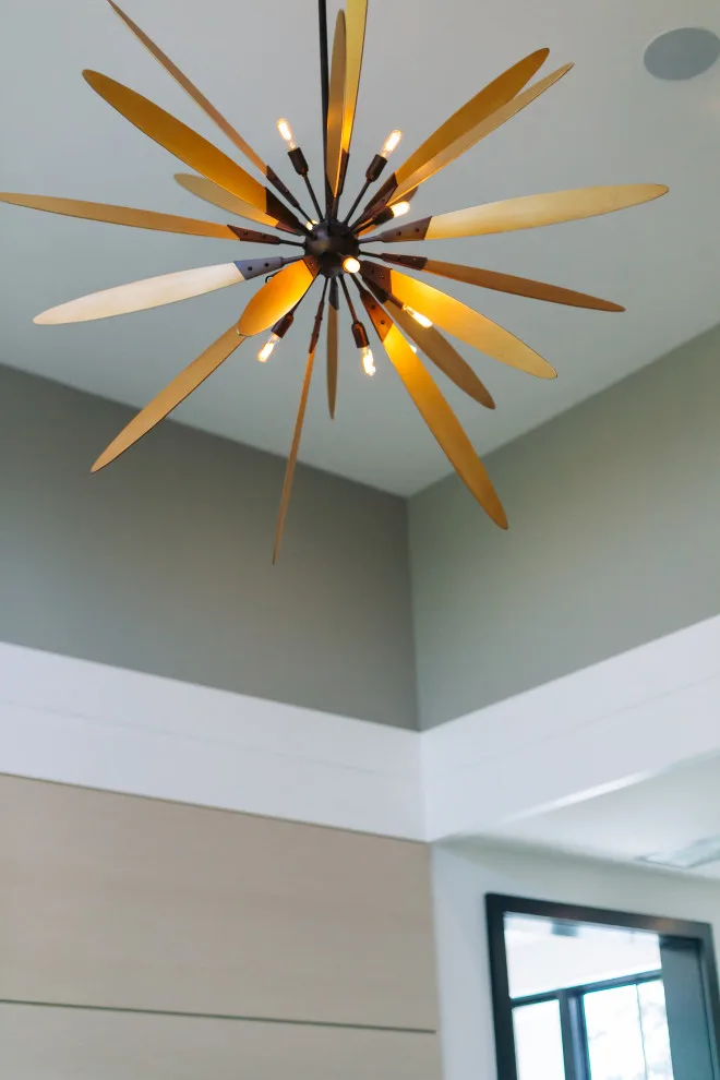 Contemporary Daniel Island by DLB Custom Home Design - Photo 29