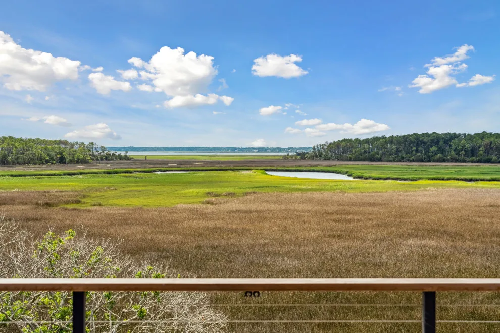 Daniel Island Blend by DLB Custom Home Design - Photo 14