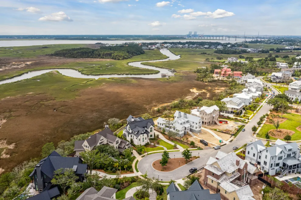 Daniel Island Blend by DLB Custom Home Design - Photo 3
