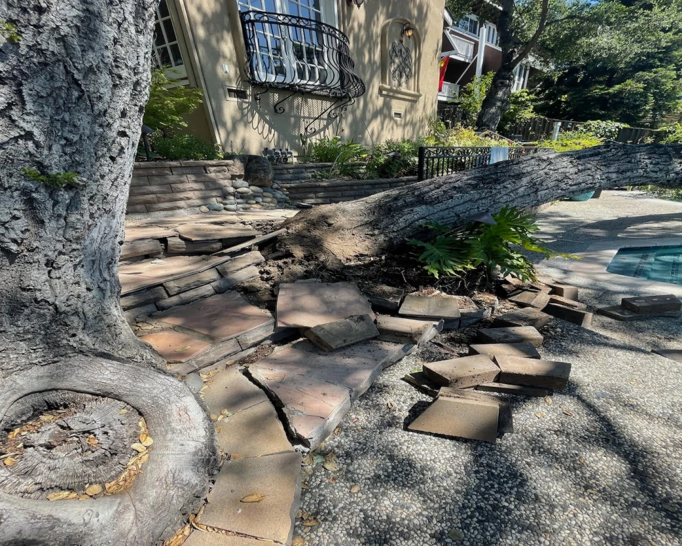 Emergency Tree Removal (Fence and Step Repair) by San Jose Tree Service & Landscaping - Photo 5