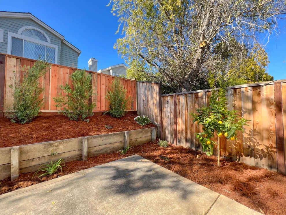 Backyard Transformation (Turf, Pavers, Shrubs, Fence) by San Jose Tree Service & Landscaping - Photo 3