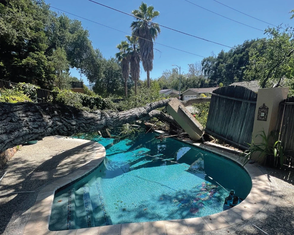 Emergency Tree Removal (Fence and Step Repair) by San Jose Tree Service & Landscaping - Photo 2
