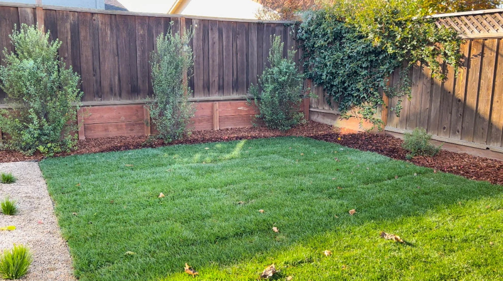 Backyard Remodel (Granite, Mulch, Outdoor Lighting, Grass, Turf, Shrubs) by San Jose Tree Service & Landscaping - Photo 2