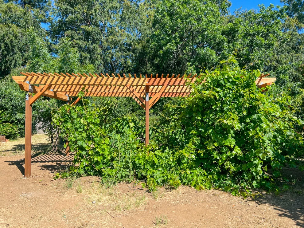 San Jose Tree Service & Landscaping - Photo 9