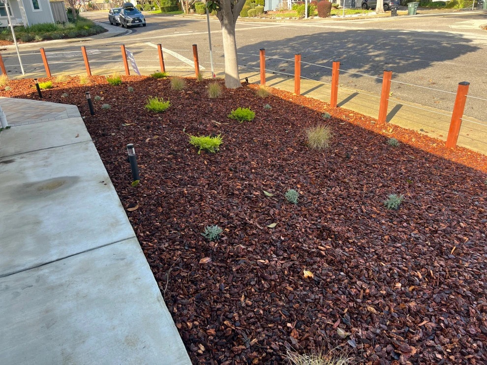 San Jose Tree Service & Landscaping - Photo 3