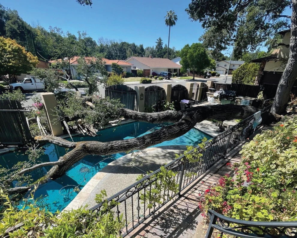 Emergency Tree Removal (Fence and Step Repair) by San Jose Tree Service & Landscaping - Photo 4