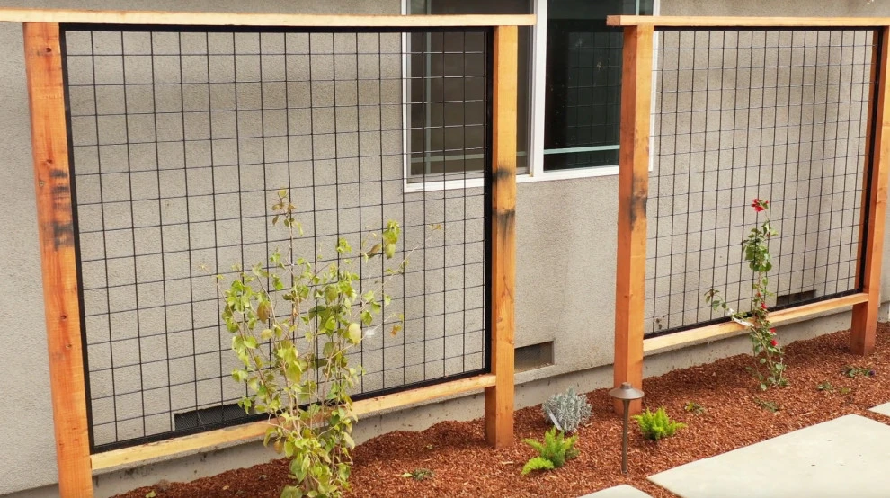 Back and Front Yard Project with Deck by San Jose Tree Service & Landscaping - Photo 4